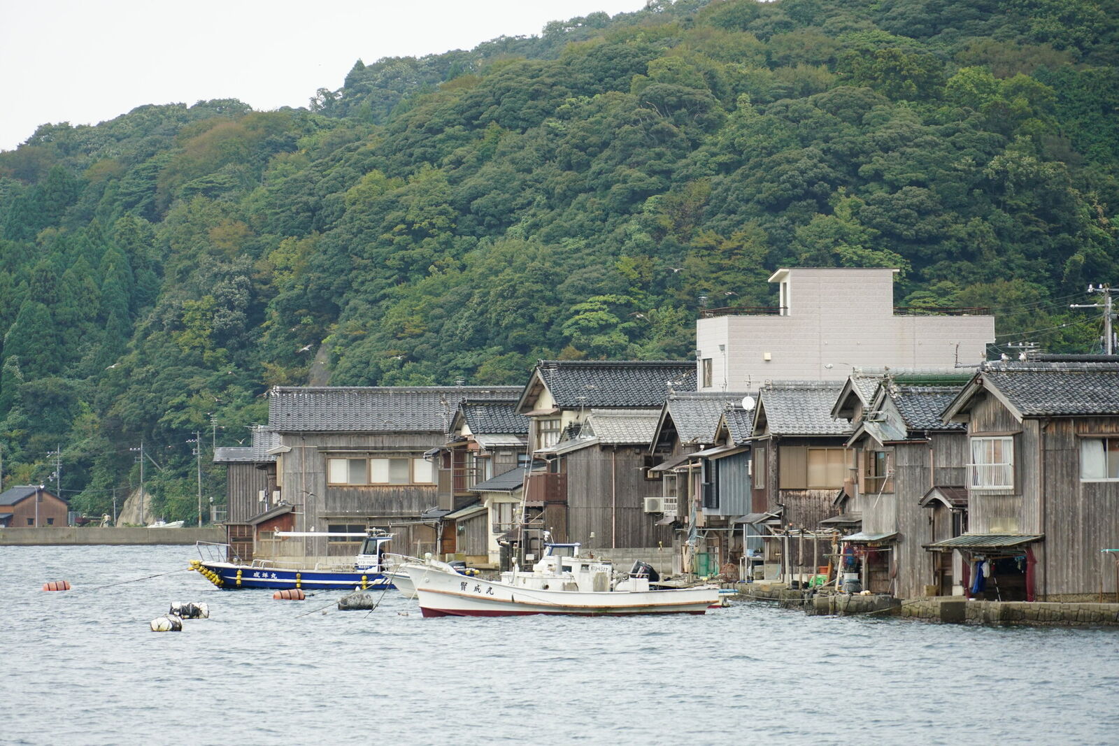 A fishing boat moored in front of funaya boathouses with the forested hillside behind, showing the working relationship between boats and houses