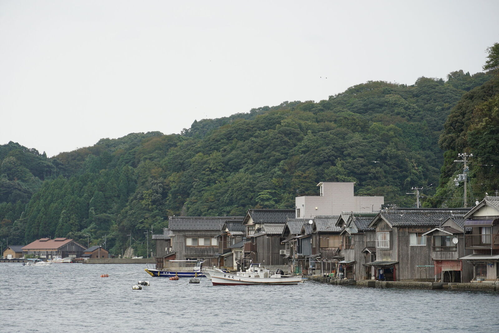 Classic view of Ine funaya from the water with fishing boats moored in front