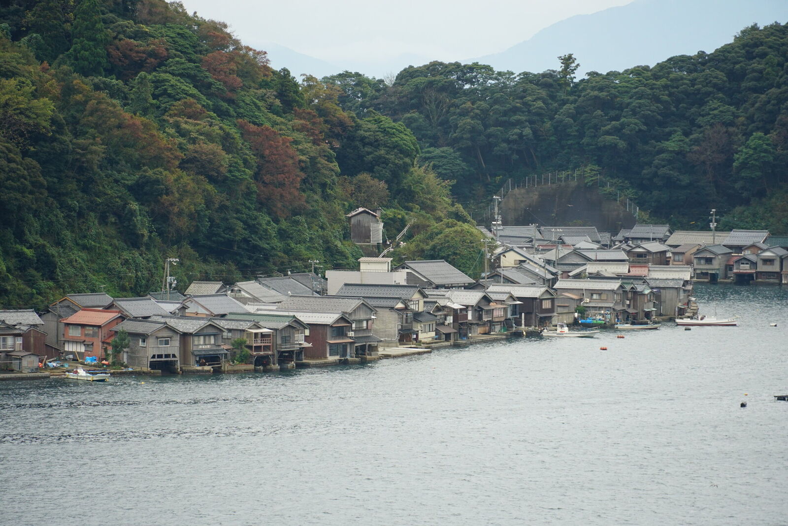 Funaya boathouses curving along the coastline with early autumn foliage coloring the forested hillside behind