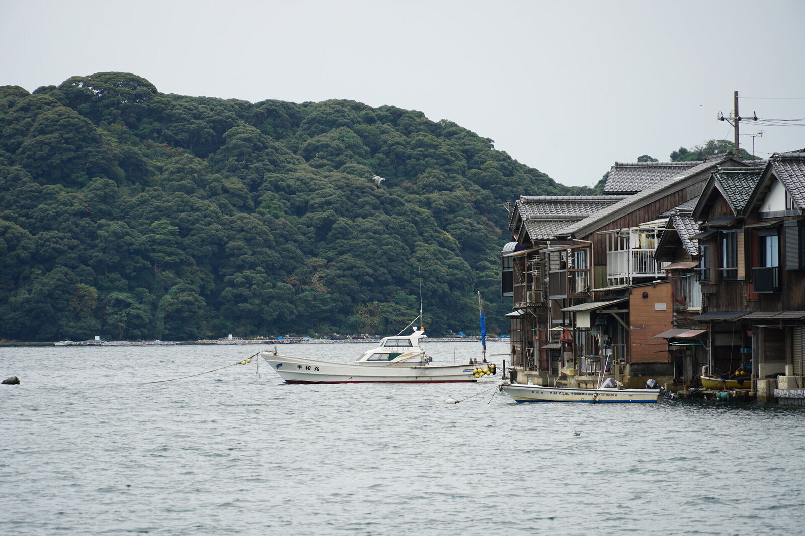 Fishing boats moored alongside funaya boathouses with a forested mountain island rising behind