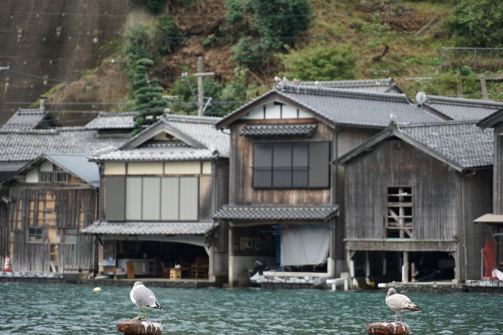 Weathered funaya facades rising from the water with seagulls resting on mooring posts in the foreground