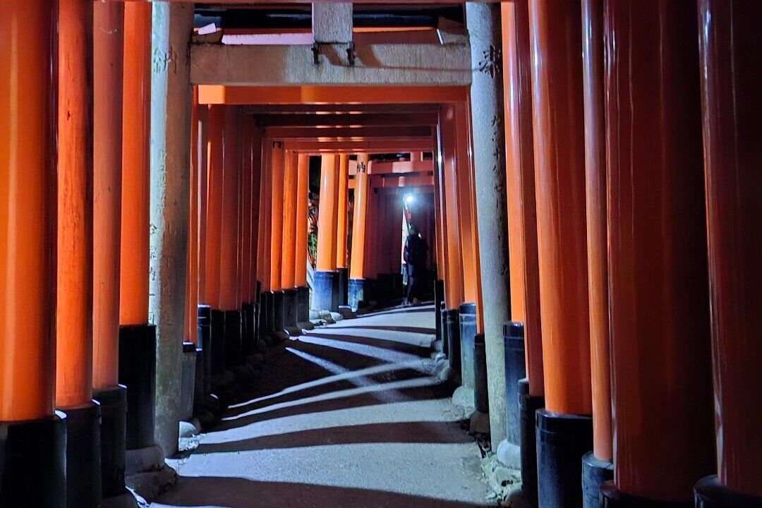 Fushimi Inari torii gates at night with dramatic light and shadow patterns