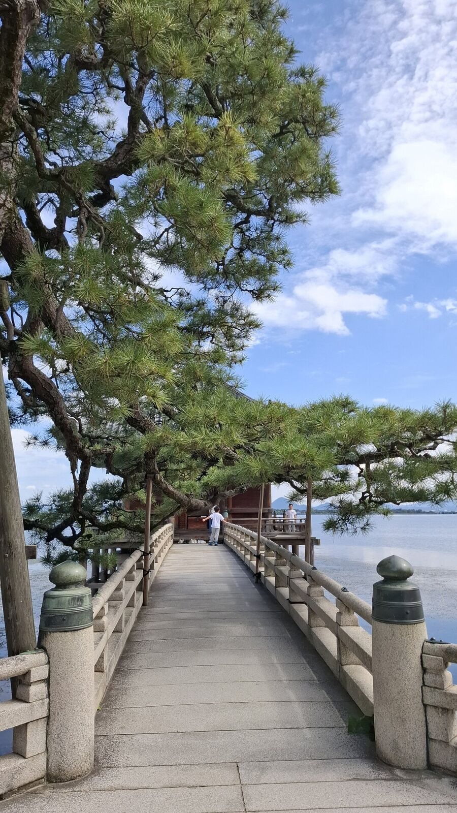 Walking the stone bridge toward the Ukimido, pine branches overhead, bronze lanterns along the railing