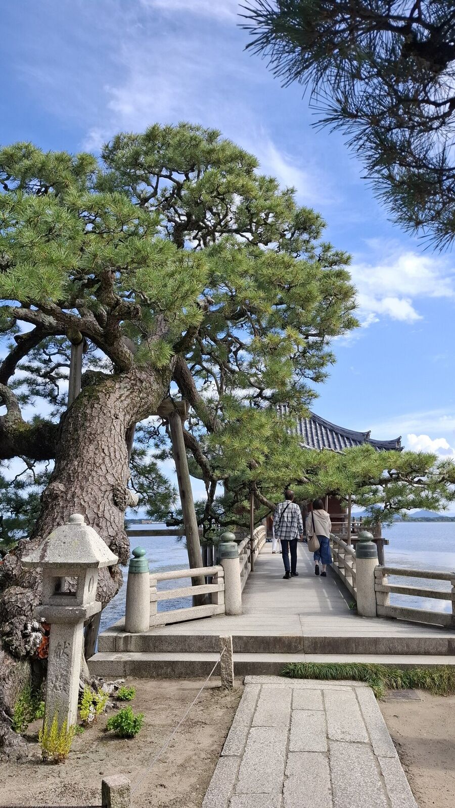 Entrance to Mangetsu-ji temple with mature pine trees and stone path leading to the main hall