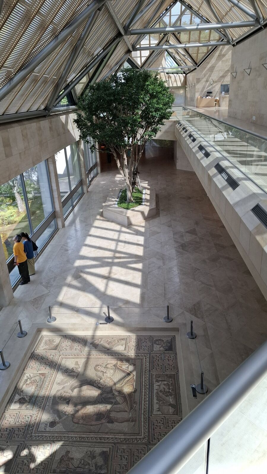 The museum atrium from the upper gallery, looking down at the ancient Roman mosaic floor, the tree growing through two levels, geometric shadows from the glass roof