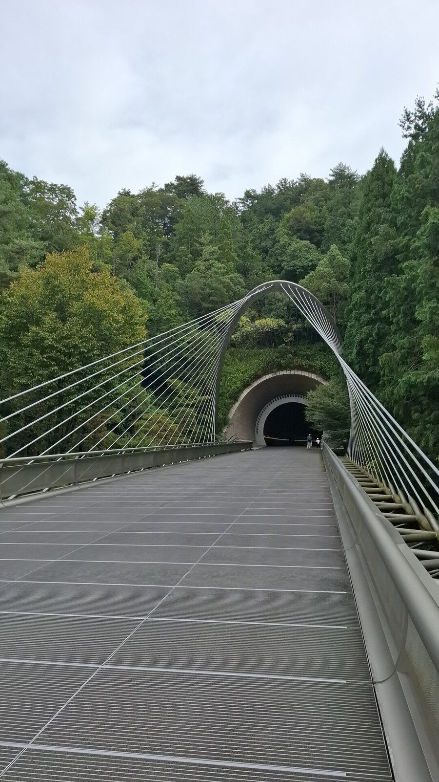 Detail of the bridge cables and the deep forested gorge below, showing the engineering that connects tunnel to museum