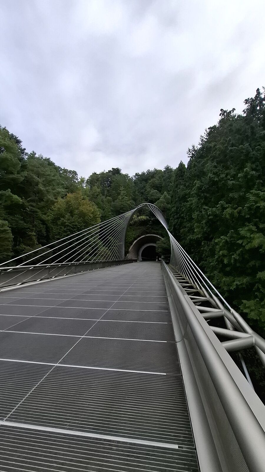 On the suspension bridge looking toward the tunnel, steel cables converging overhead, the forested gorge dropping away on both sides