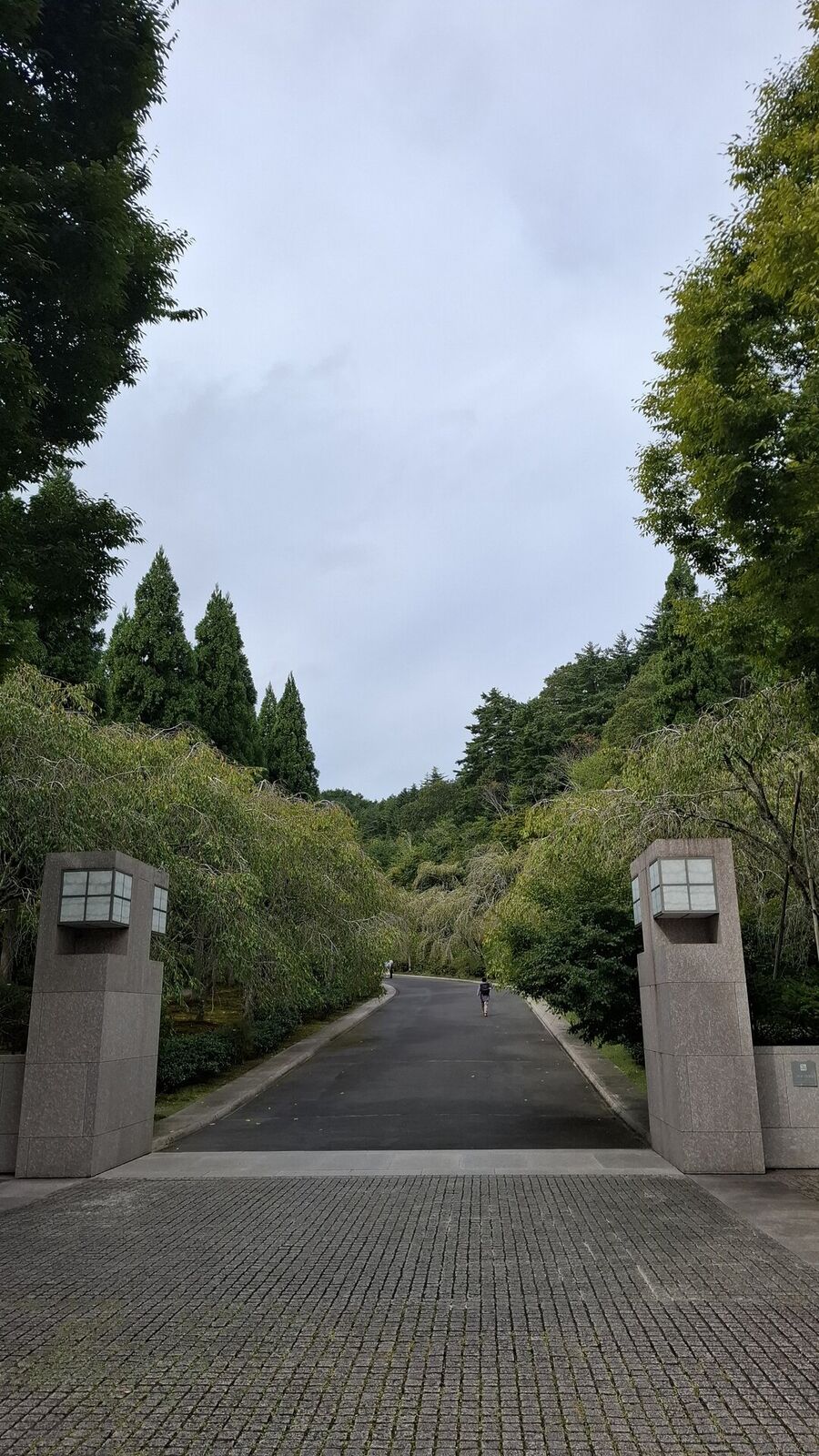The stone gateway pillars marking the entrance to Miho Museum, a tree-lined avenue stretching into the forested mountains ahead