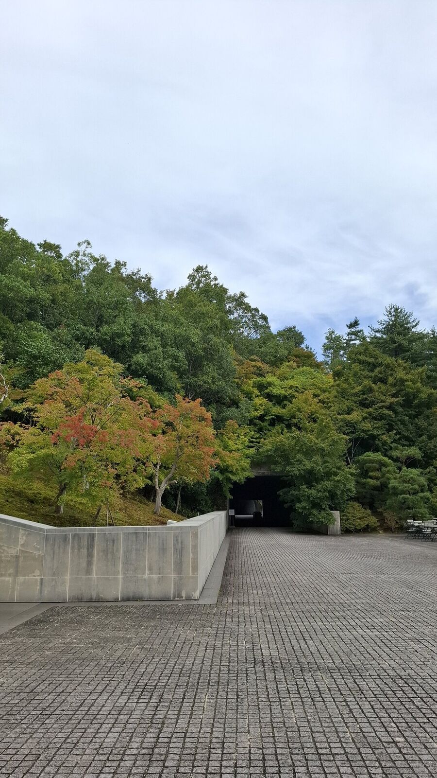 The museum facade path with early autumn foliage, orange and green maples against the stone wall and overcast sky