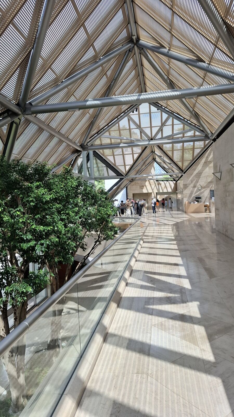 The glass roof structure from below with a tree growing through the atrium, steel beams and natural light creating a greenhouse-cathedral effect
