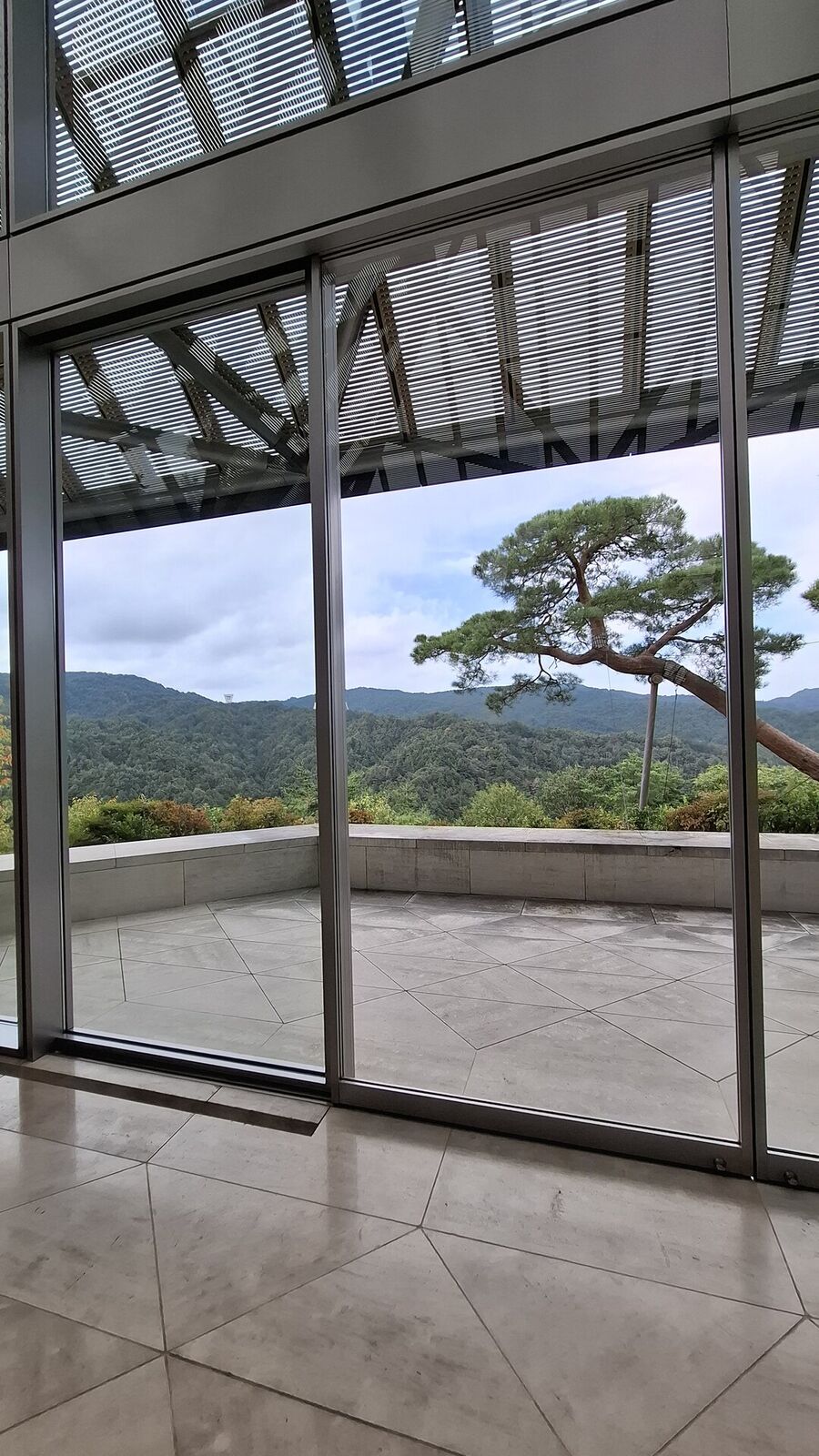 Floor-to-ceiling windows framing a panorama of forested mountains, a Japanese pine on the terrace, the glass roof structure visible above
