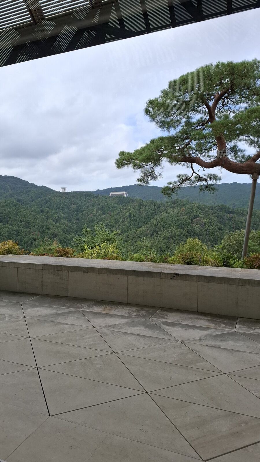 The museum terrace with a Japanese pine tree, concrete geometric wall, and a view deep into the mountain valley