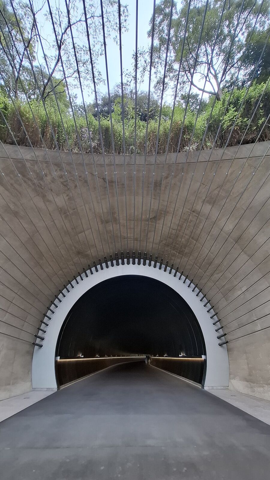 A visitor pauses before the tunnel entrance, the perfect concrete arch framed by suspension cable anchors radiating upward into the forest canopy