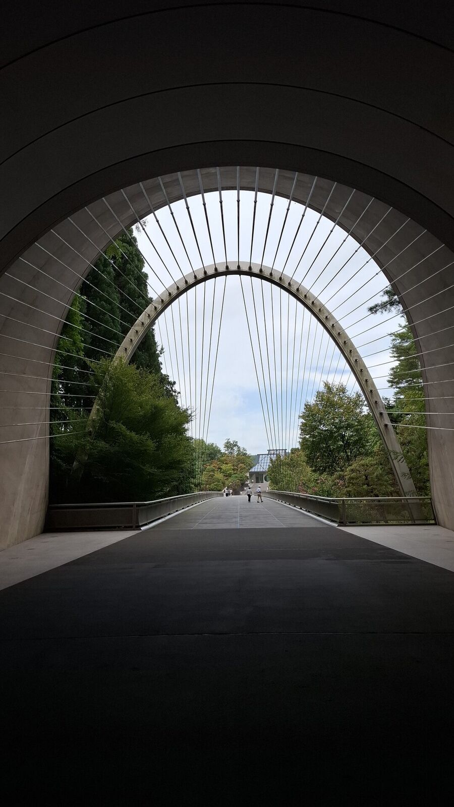 The moment of revelation at the tunnel exit, the suspension bridge arch framing sky, cables and green forest beyond