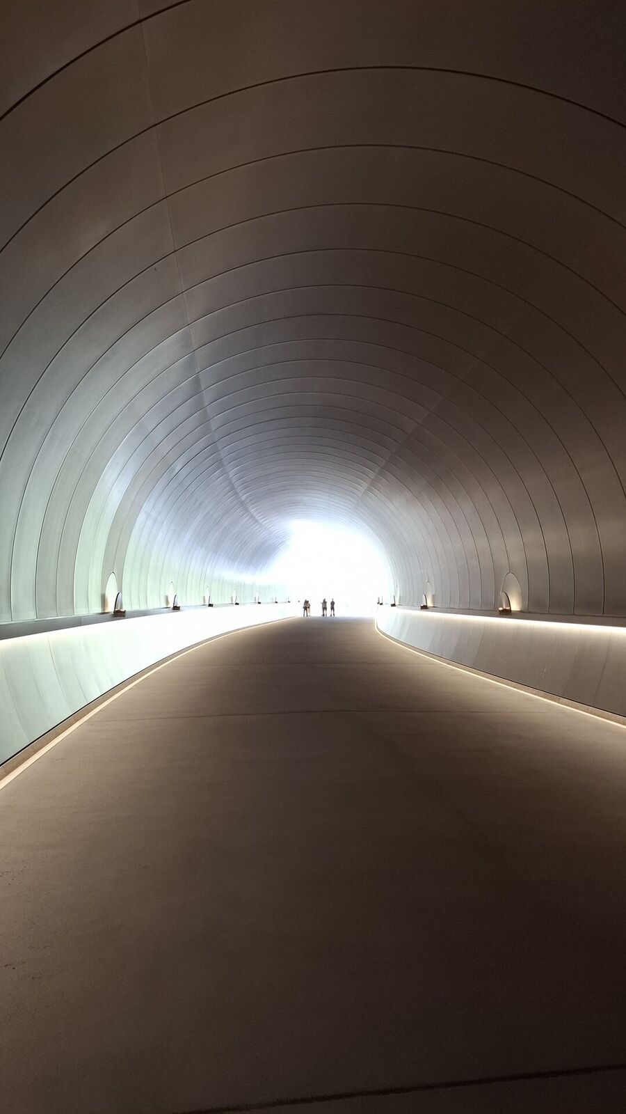 The tunnel entrance close-up from outside, the perfect concrete arch cutting into the mountainside with forest above