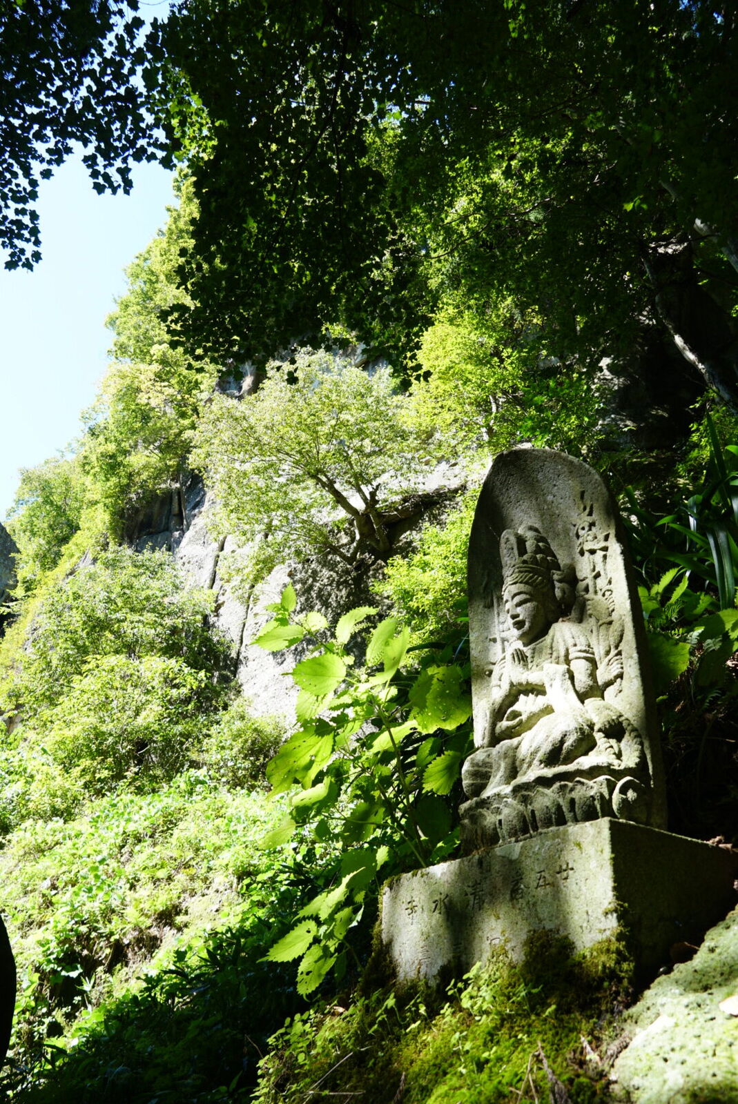 Stone Buddha or dragon figure carved into the sandstone cliff face, greenery growing around the ancient relief