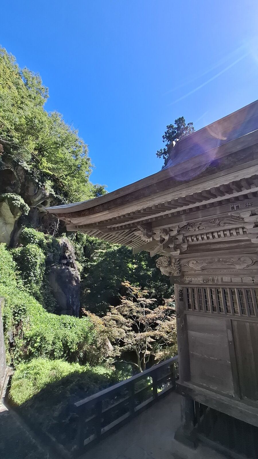 Intricately carved wooden gate with dragon and cloud motifs, sandstone cliff and moss-covered trees visible through the opening