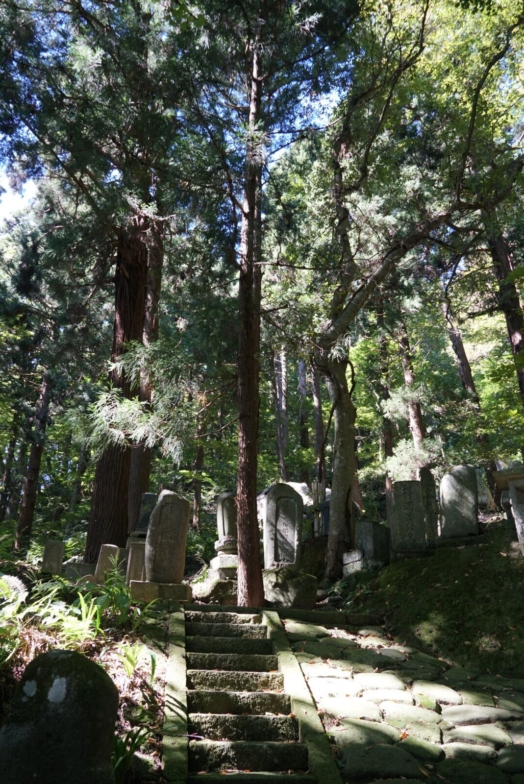 Stone memorial monuments and grave markers lining the forest path, moss-covered and inscribed with centuries-old kanji