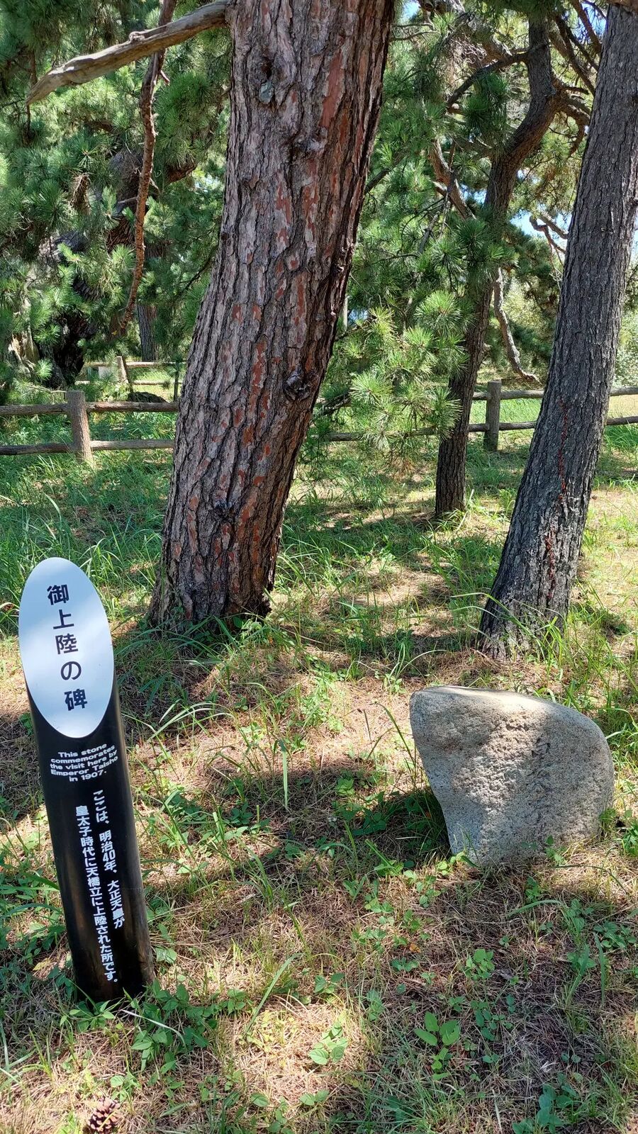 A stone monument and information plaque among the pines of Amanohashidate, marking an imperial landing site