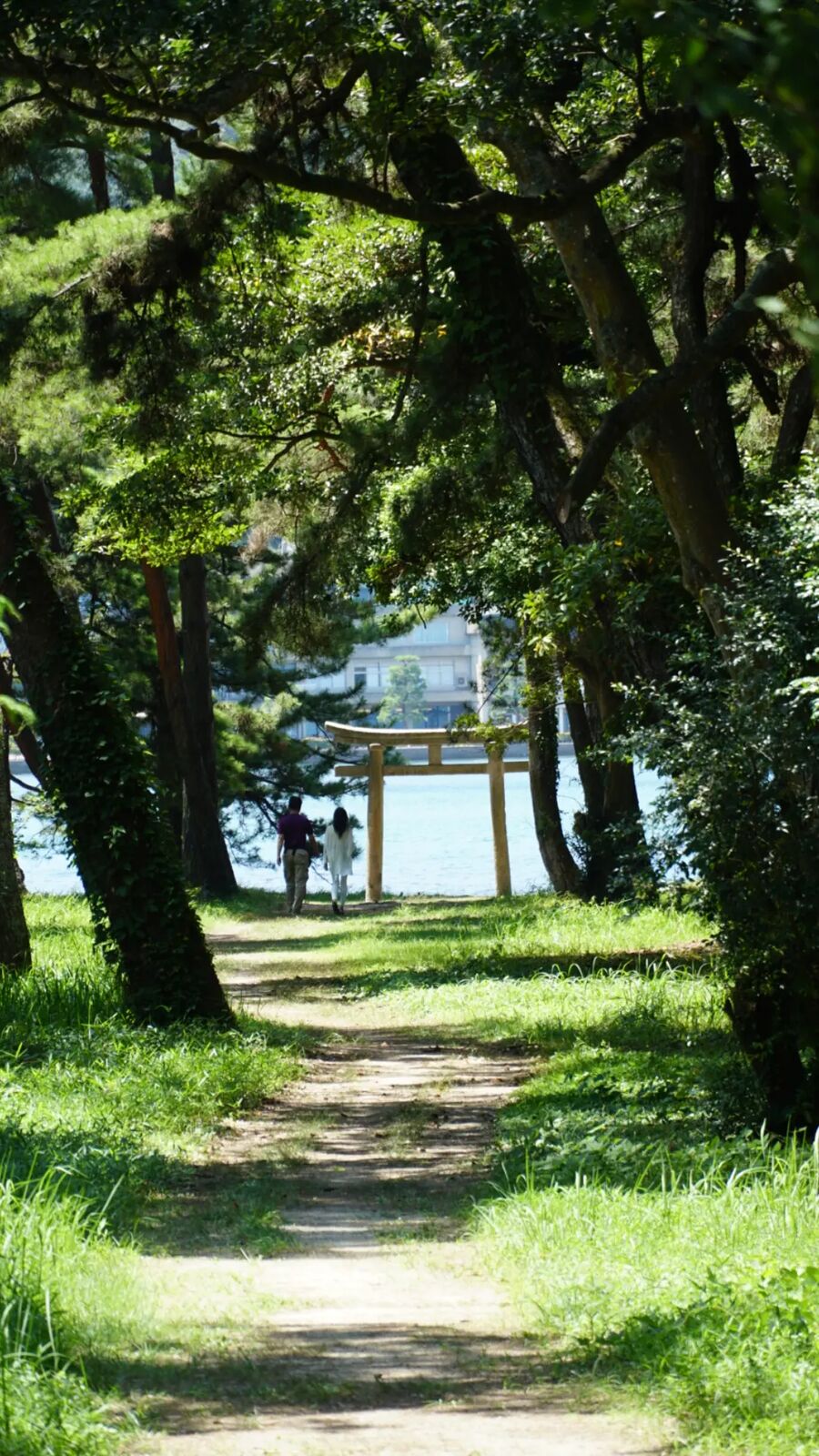 A green path through old trees leading toward a distant torii gate silhouetted against bright water, a figure with a bicycle near the gate