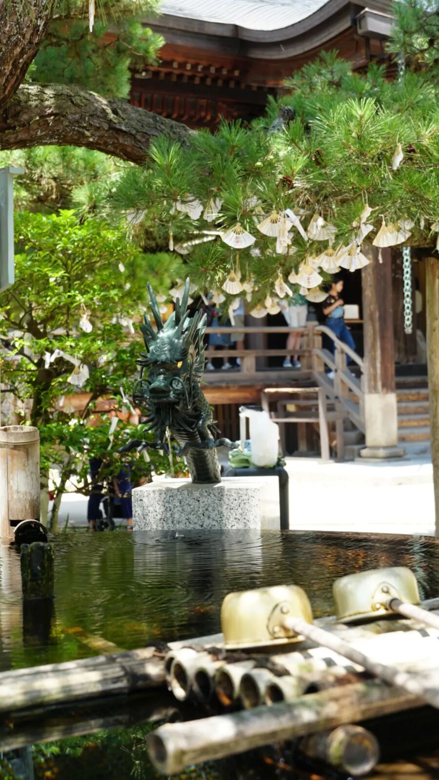 The temizuya purification basin at Chionji temple, a bronze dragon statue rising from the water with paper fortunes hanging from a pine branch above