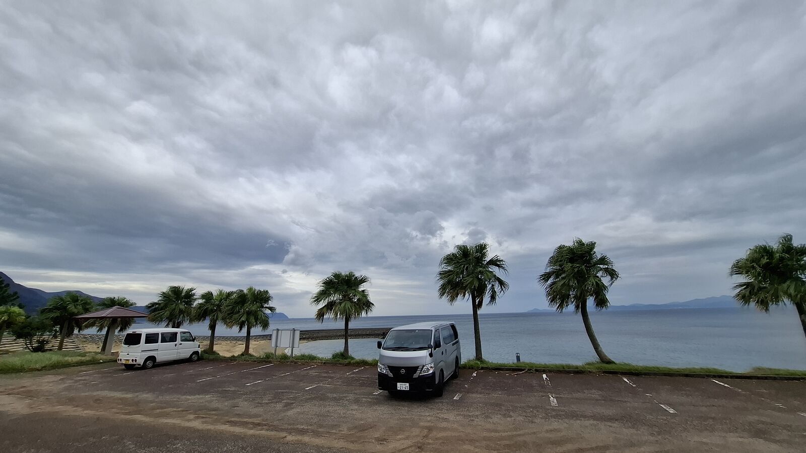 The camper van parked among palm trees at a coastal rest stop, ocean stretching out behind under a dramatic grey sky