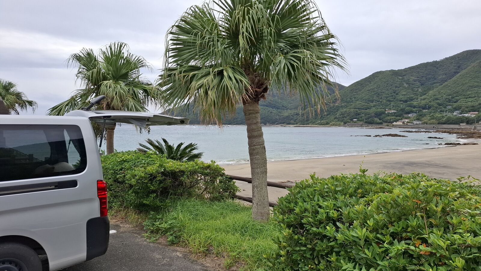White camper van at a tropical beach parking spot, a palm tree in the foreground, green mountains and calm ocean behind