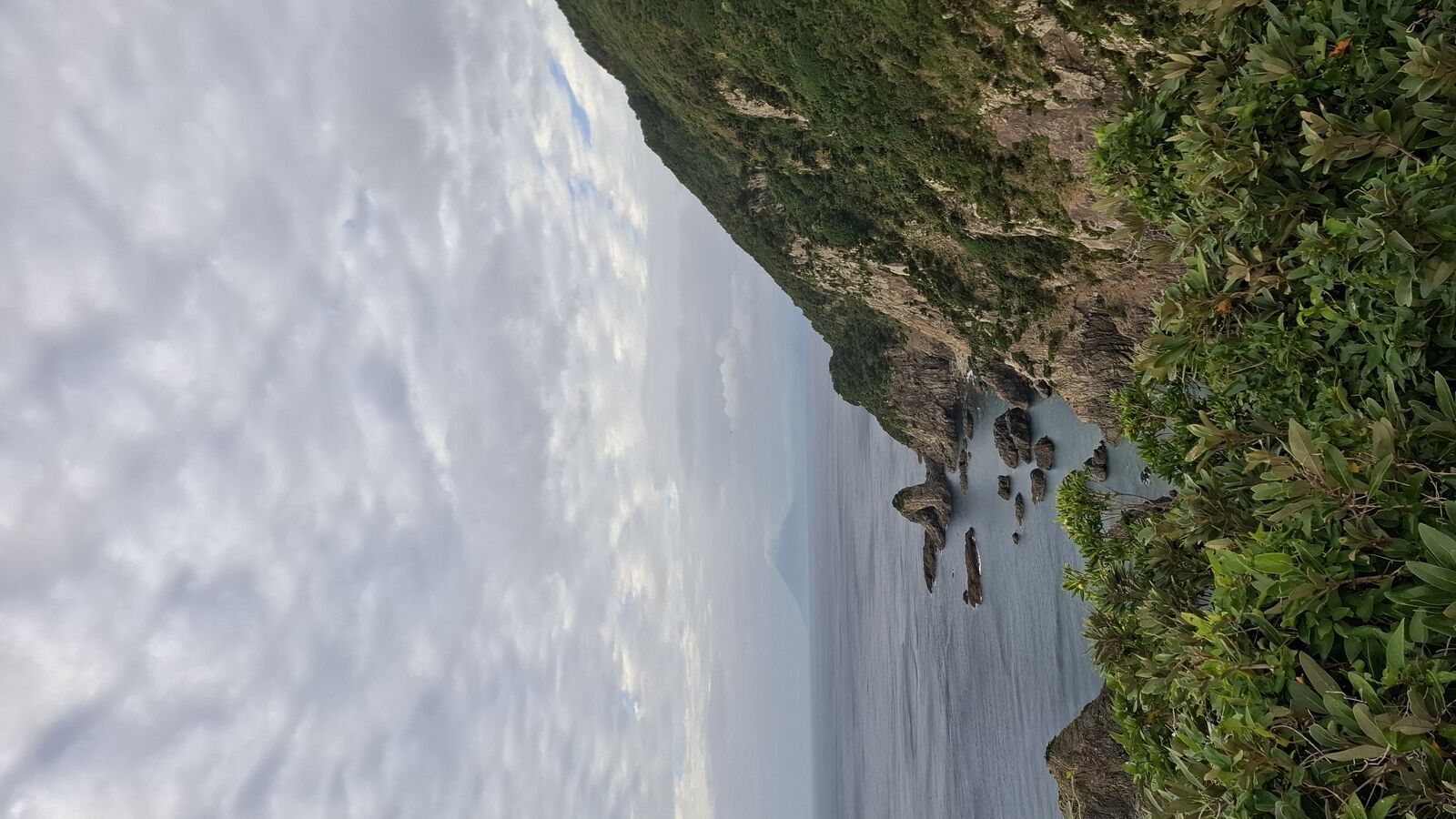 Coastal cliffs with jagged rocks standing in the ocean, subtropical vegetation clinging to the cliff edges