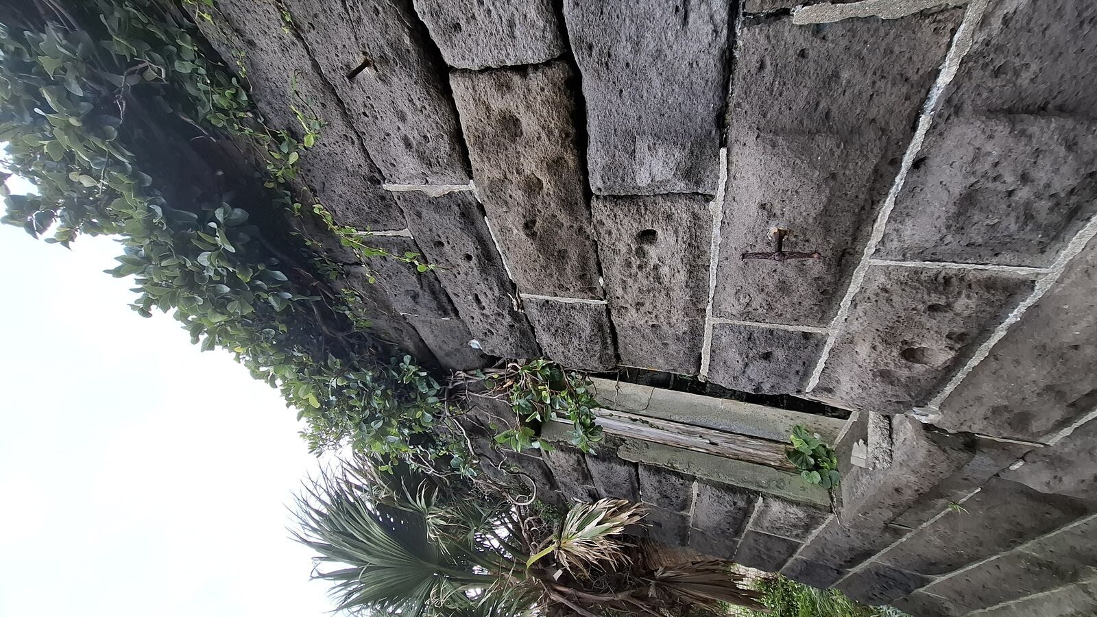 Stone ruins of the Scottish lighthouse keeper houses, roofless walls with vines growing through empty windows, jungle encroaching from all sides
