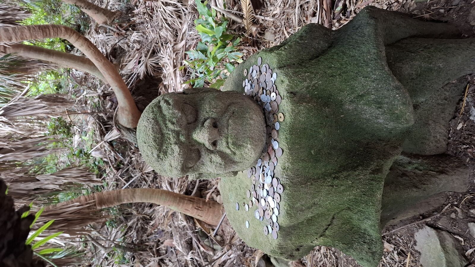 Moss-covered stone figure sitting among tropical plants, coins placed as offerings at its feet, a quiet devotional spot in the jungle