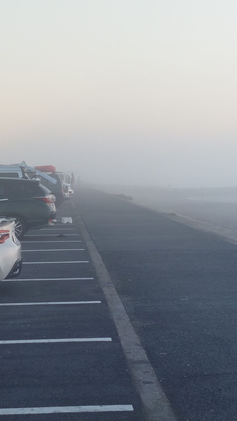 Pre-dawn fog at the beach parking lot, surfers' cars lined up in the mist, a ghostly morning atmosphere