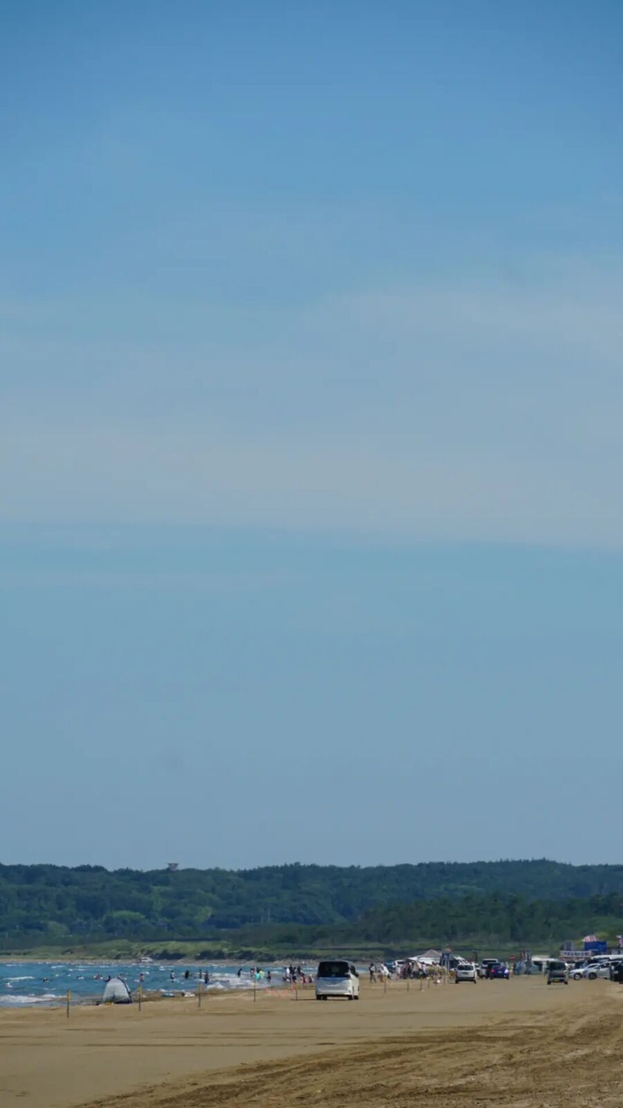 The beach from a distance showing the scale: hundreds of cars and beachgoers stretching into the distance, forest-lined coast on the horizon