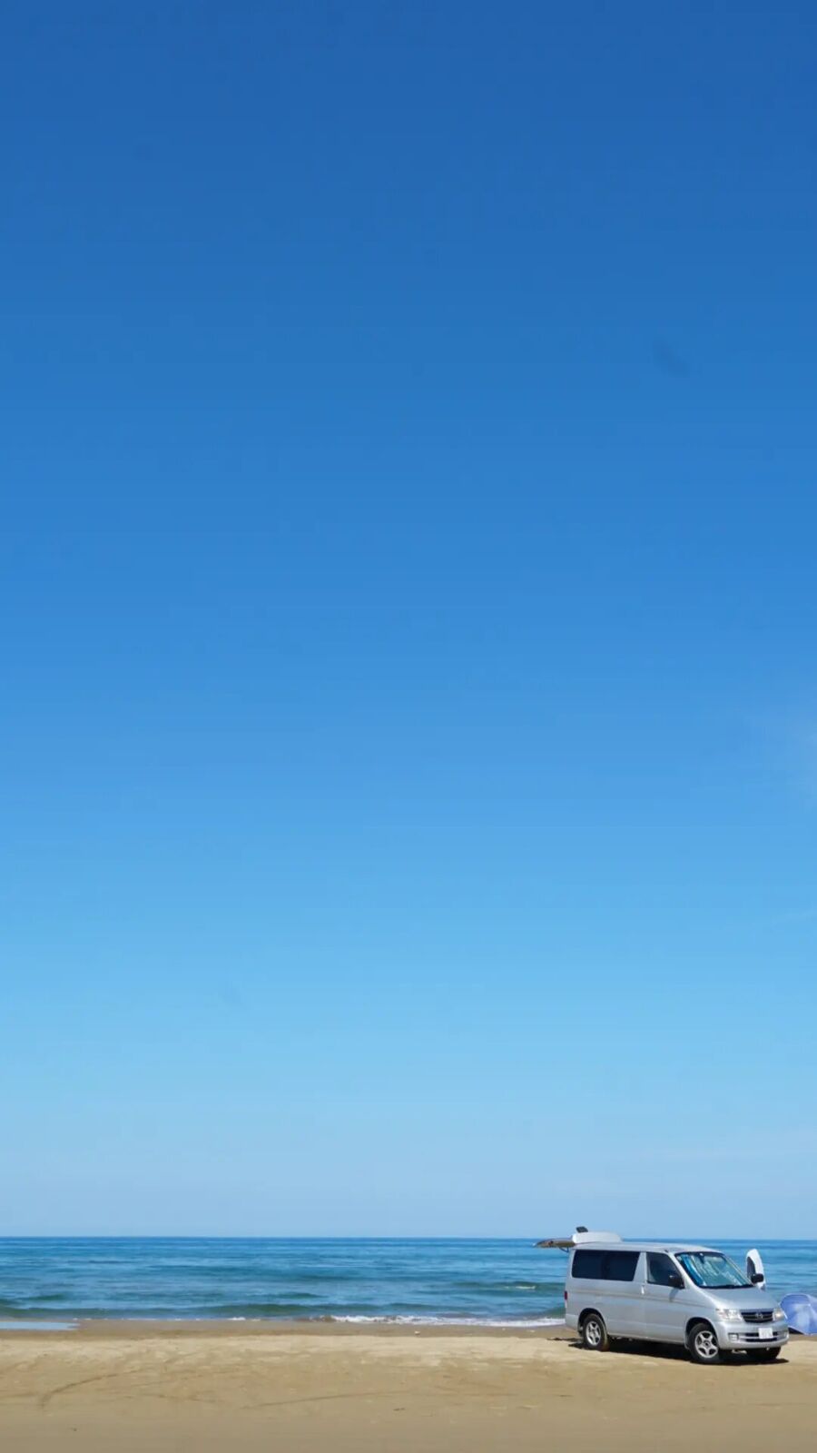 Wide view down the beach: cars, tents, and families spread across the sand as far as the eye can see, pine-covered coastline in the background