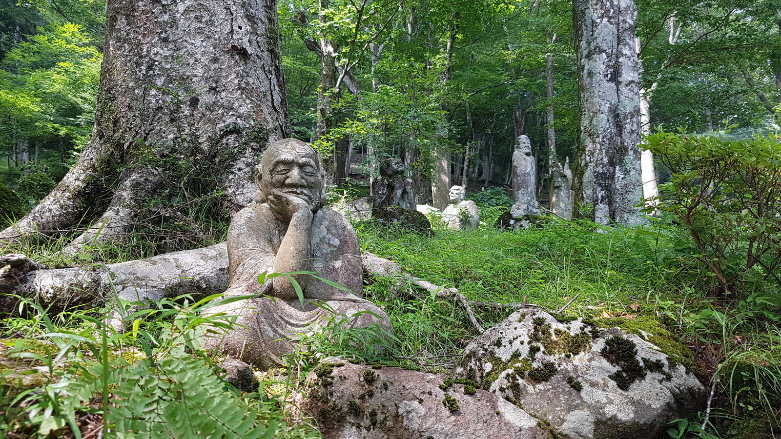 Thoughtful rakan resting his chin on his hand, other figures scattered behind in bright summer sunlight among the trees