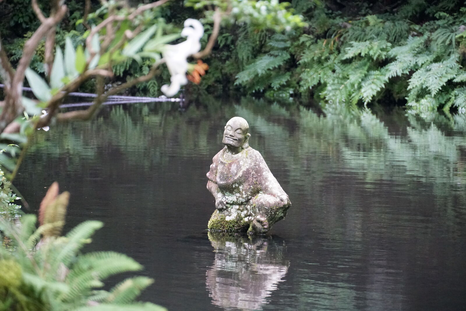 A stone rakan figure sitting in a dark temple pond, a white heron perched on a branch behind it, lush green forest reflected in the still water