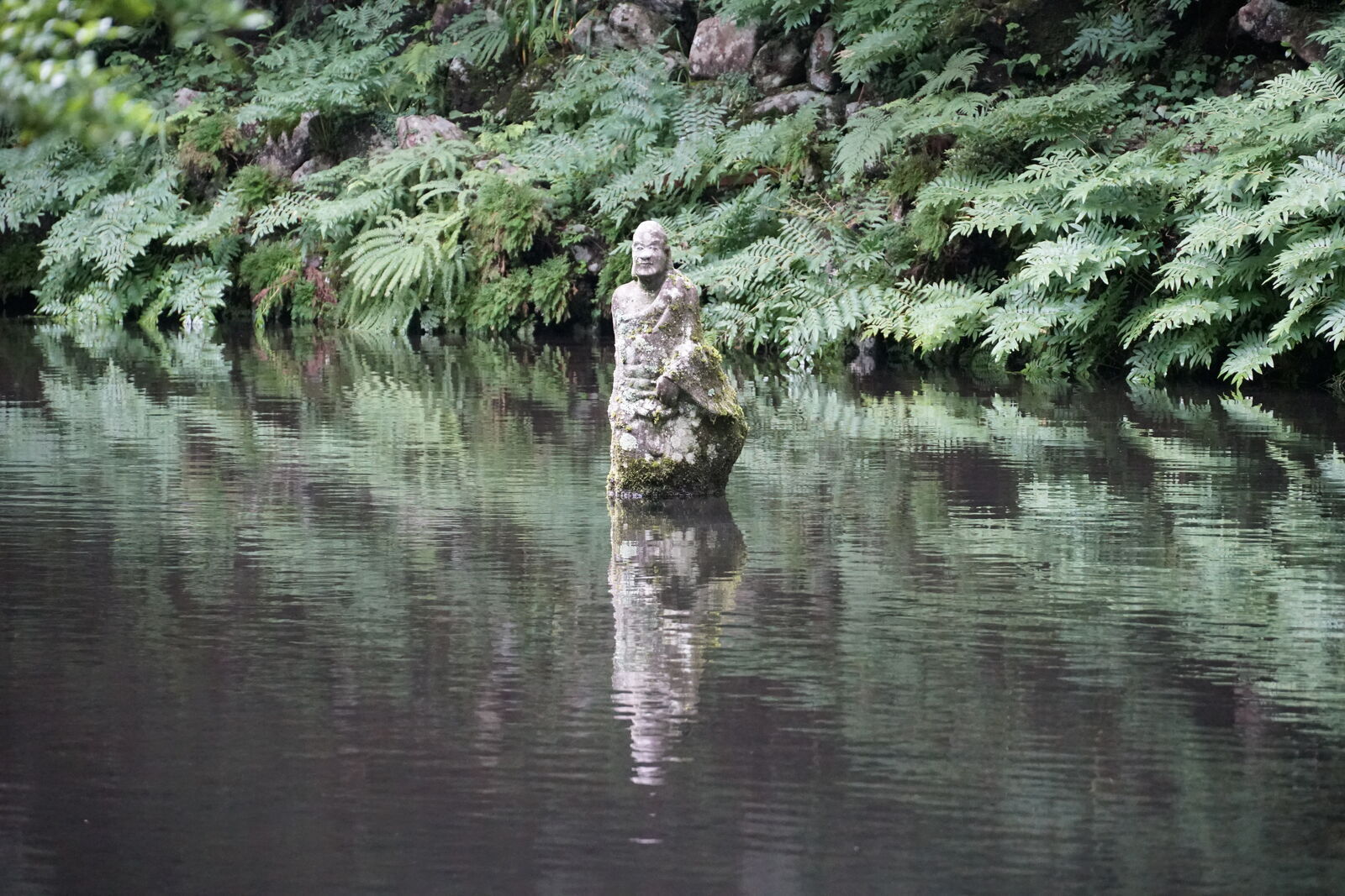 Standing rakan figure in the pond, ferns and forest reflected in the still green water around it
