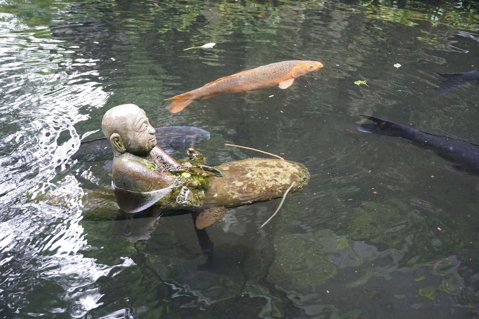 Close-up of submerged figure with a bright orange koi gliding past, color contrast against the dark water
