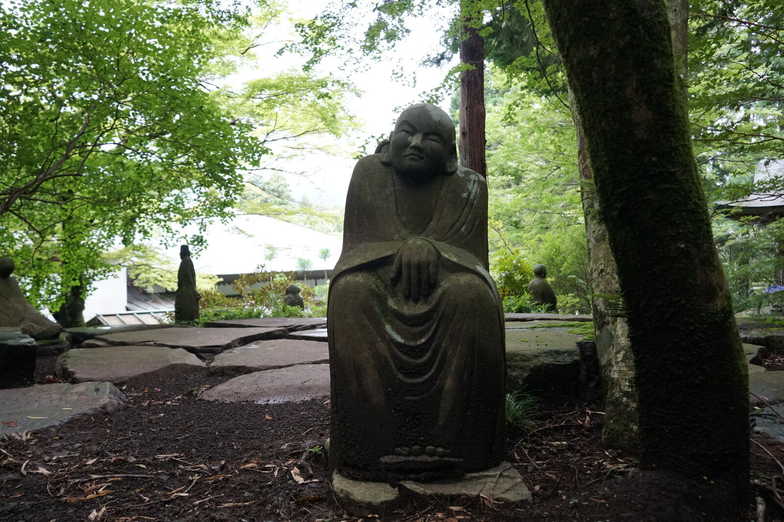 Large dark seated figure seen from below, gentle smile, green canopy stretching overhead