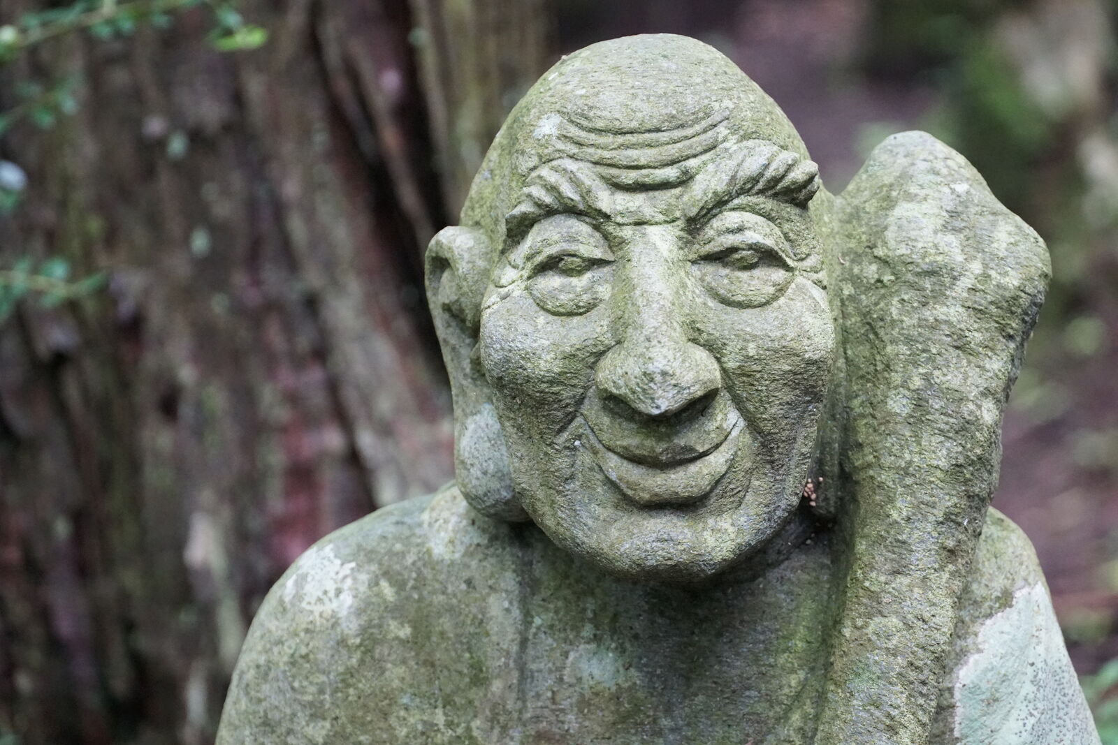 Close-up portrait of a grinning rakan face with deep wrinkles and a knowing expression, cedar bark behind