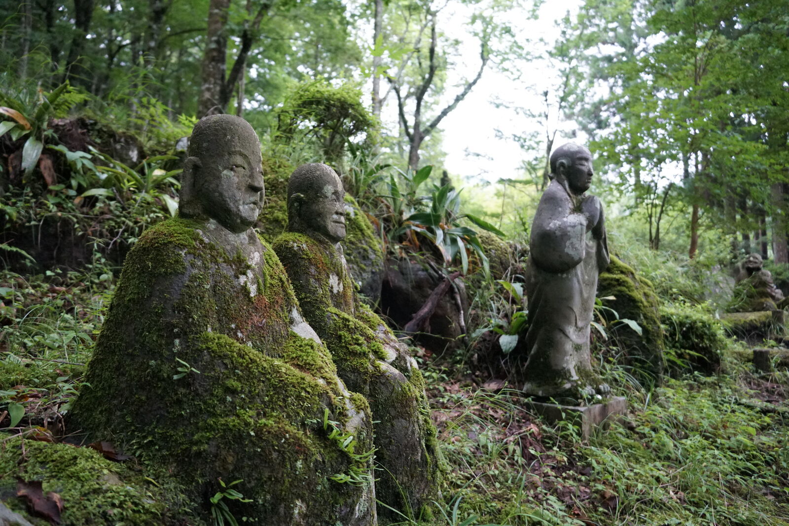 Three moss-covered figures in a row, two seated and one standing, as if gathering in a forest clearing