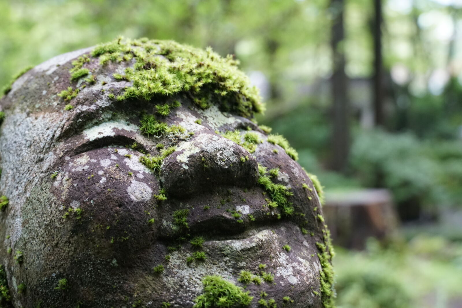 Extreme close-up of a rakan face covered in moss like wild green hair, eyes barely visible, grinning serenely