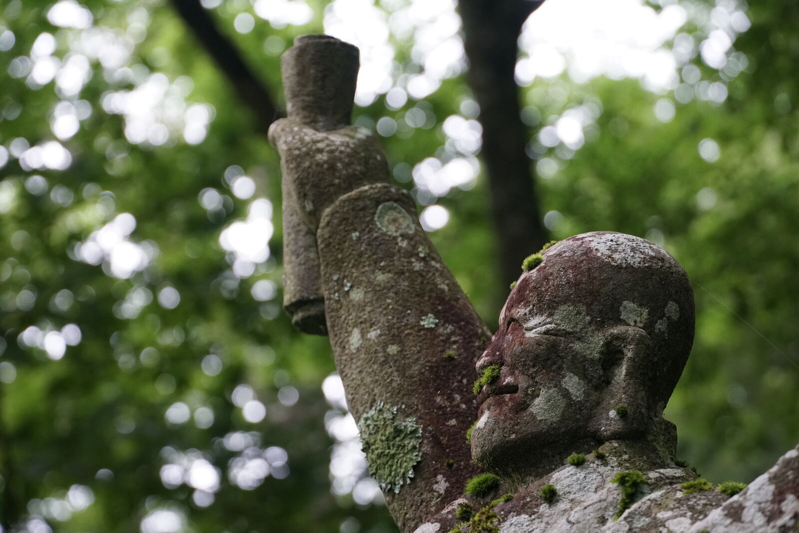 Lichen-covered rakan figure looking upward through the tree canopy, beautiful bokeh of green leaves above
