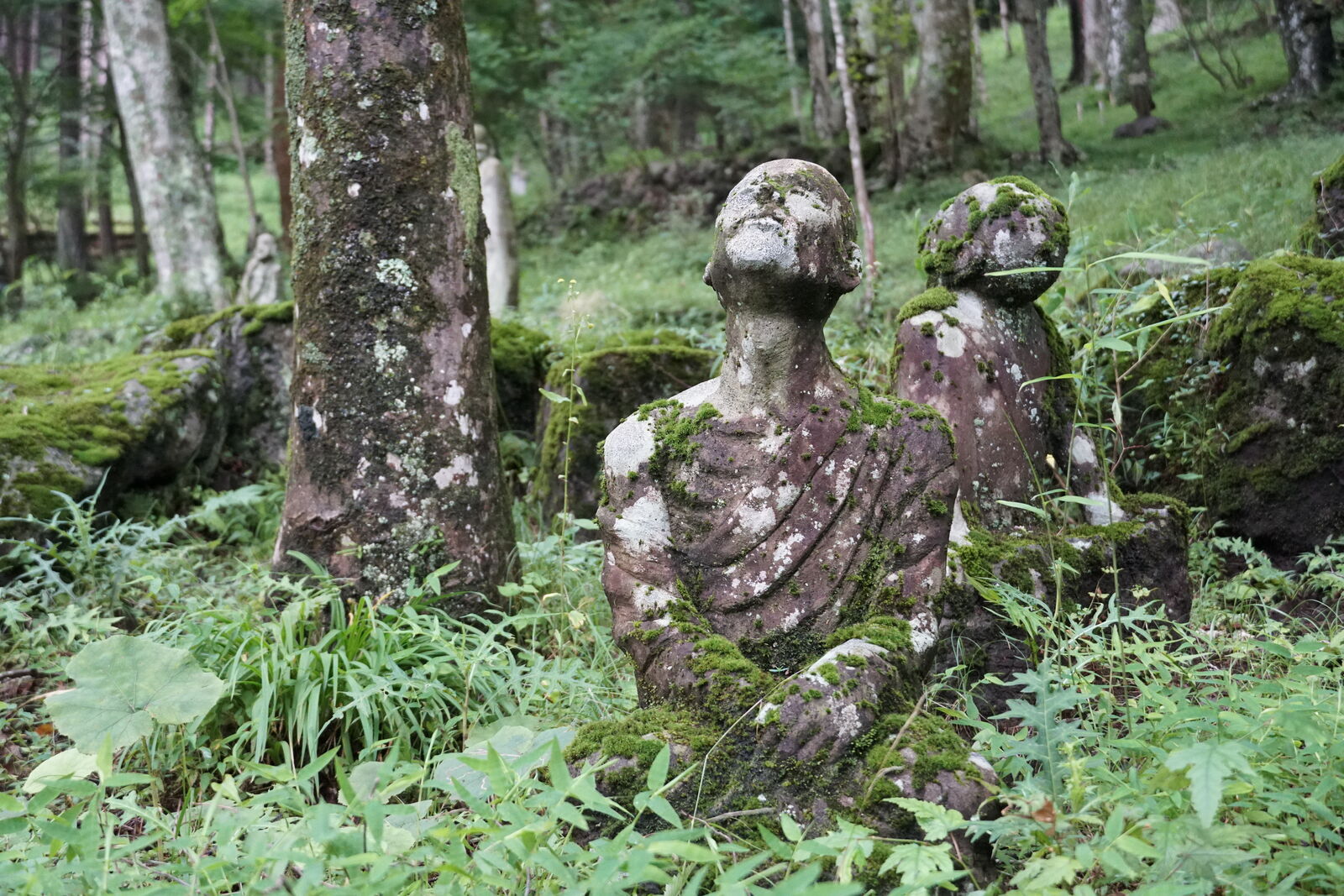 Two lichen-covered figures looking skyward from deep in the forest undergrowth, slowly being reclaimed by nature