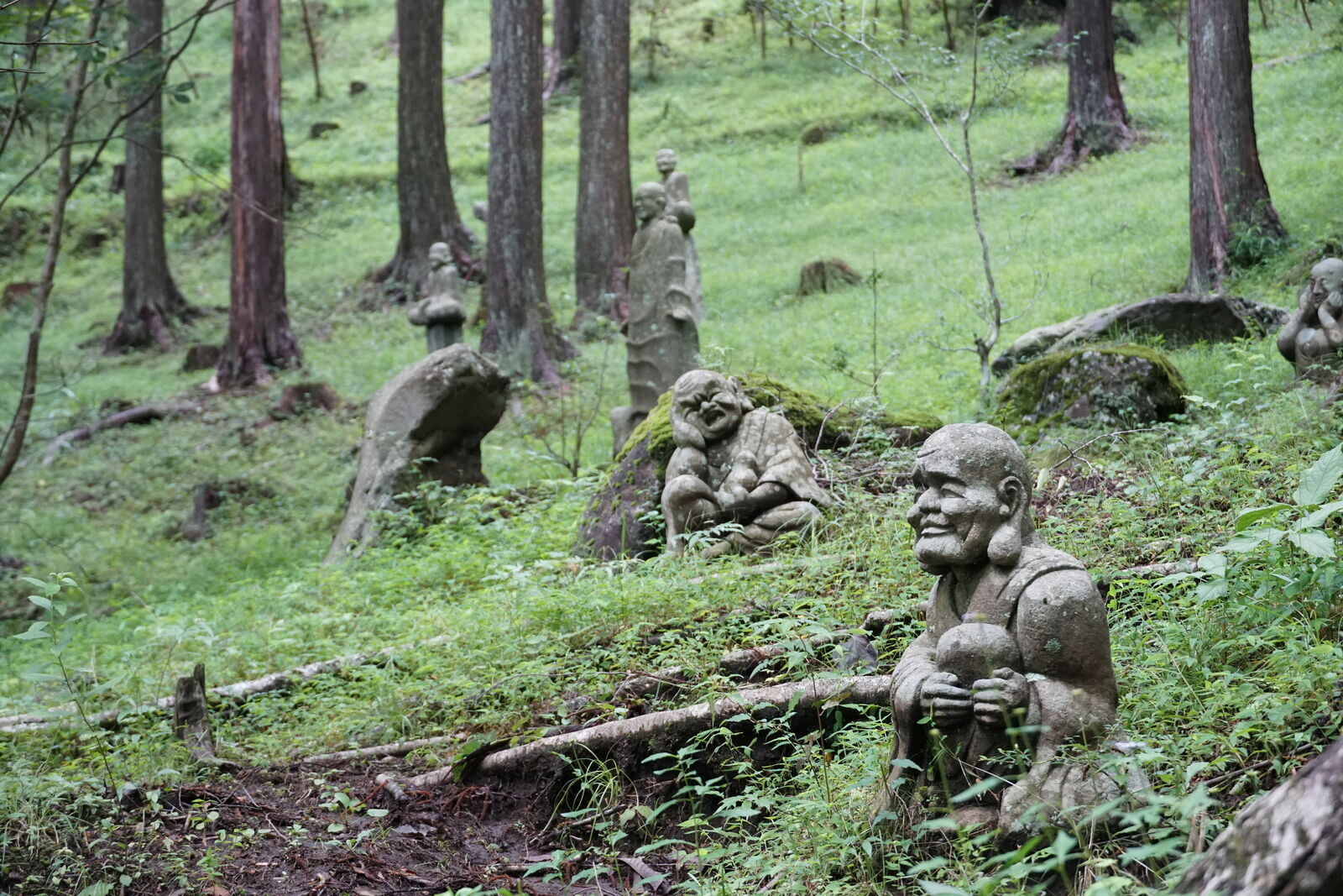 Forest slope covered in stone figures at different heights among the cedars, a grinning monk in the foreground looking outward