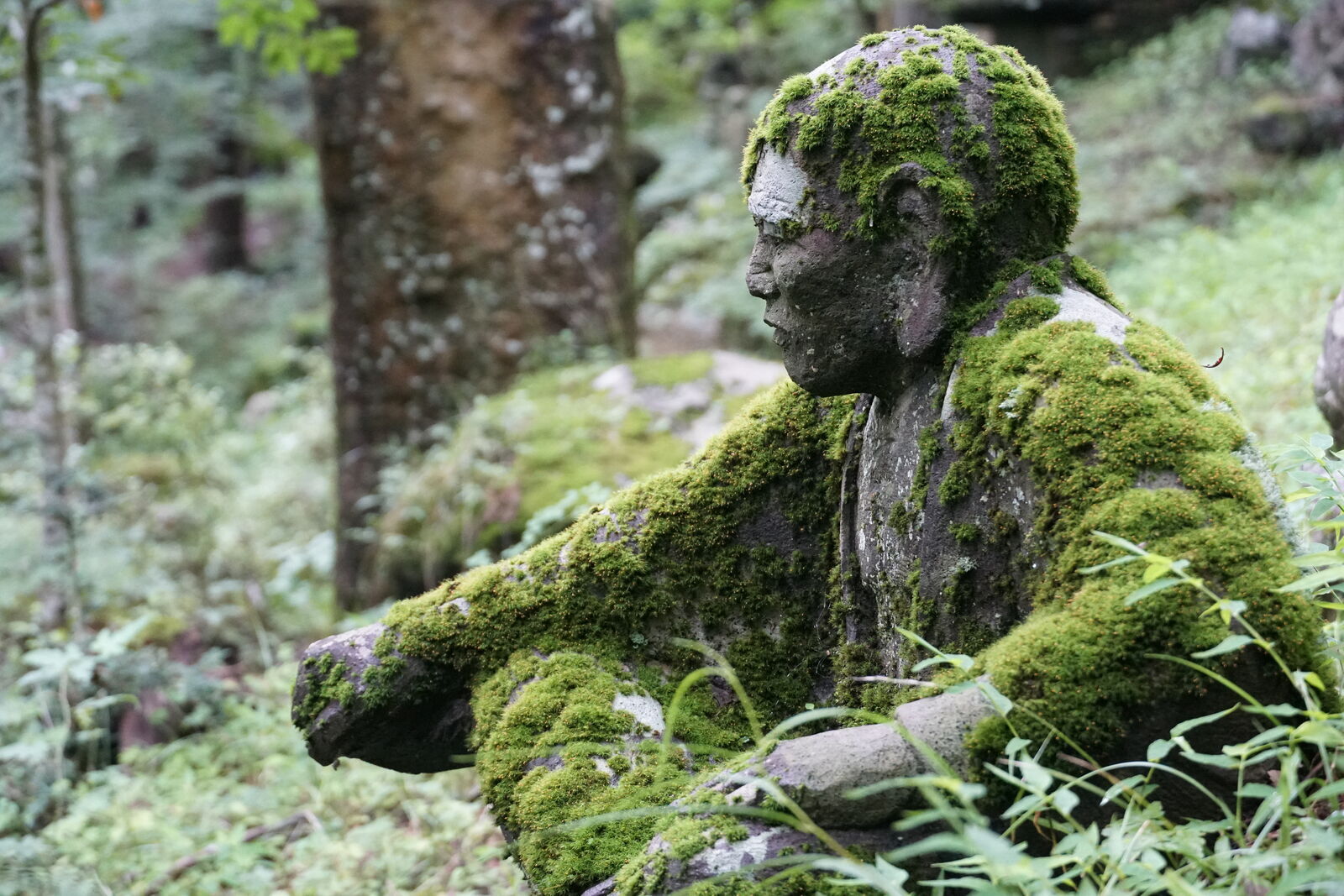 Seated rakan figure almost entirely covered in thick green moss, becoming part of the forest floor, face barely visible