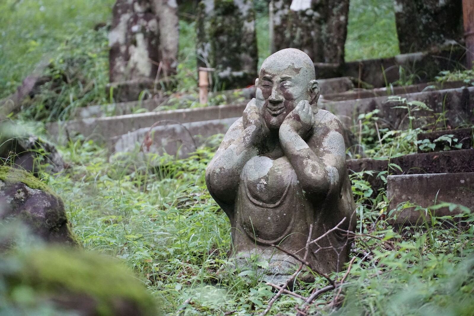 Laughing monk with both hands pressed to his cheeks in delight, overgrown stone steps behind