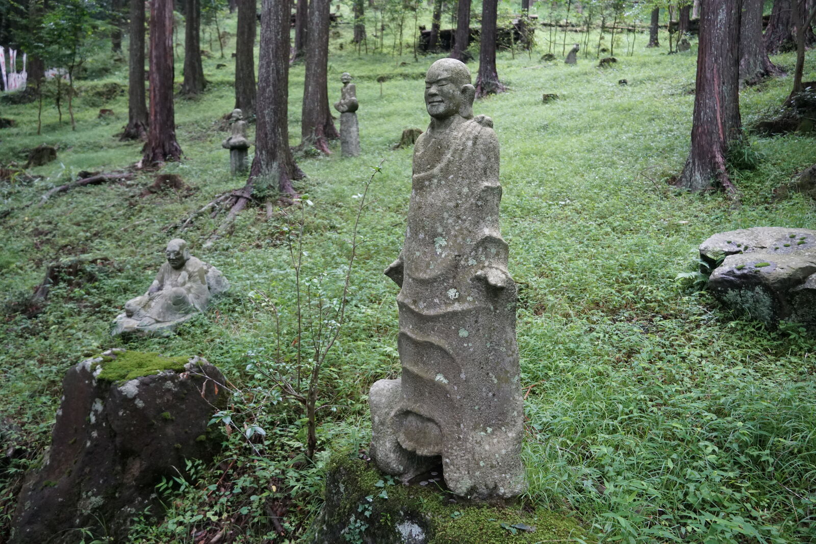 Tall standing rakan figure on a mossy forest clearing, other figures and cedars in the misty background