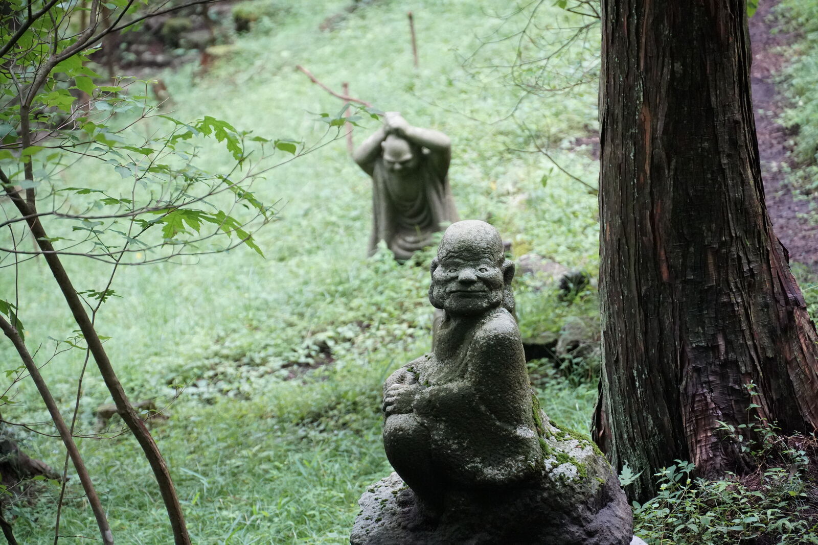 Grinning rakan in sharp focus with a blurred figure raising its arms in the background, layered forest depth