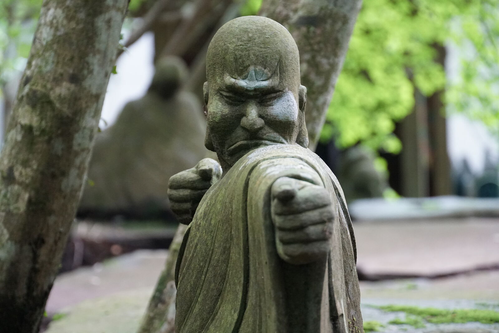 Determined monk figure with clenched fists thrust forward, furrowed brow, green maple leaves in the background