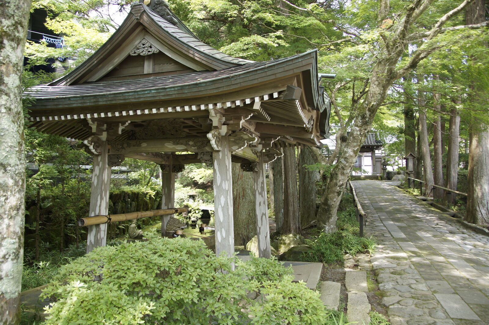 The temple bell pavilion from the main path, dappled sunlight through maple and cedar branches